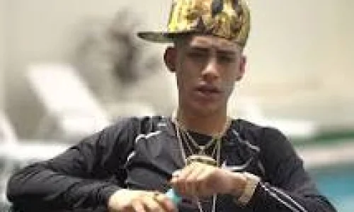 بیوگرافی کامل و طولانی Chris MJ